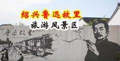 嗯～啊插的好快～视频中国绍兴-鲁迅故里旅游风景区